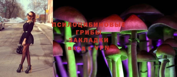спиды Алексеевка