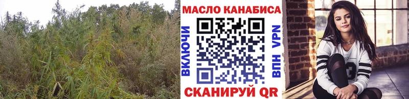 ТГК вейп купить кракен ТОР Артём